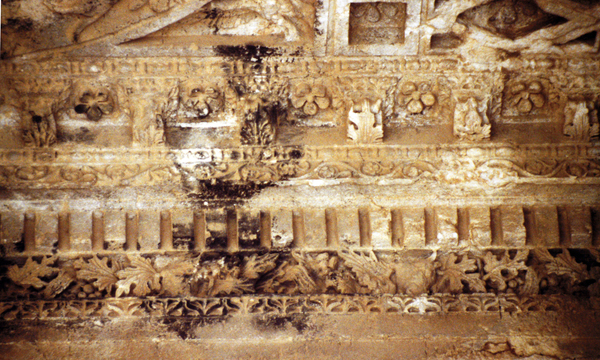 Palmiratbel internoadytonn internocoronparete 1993