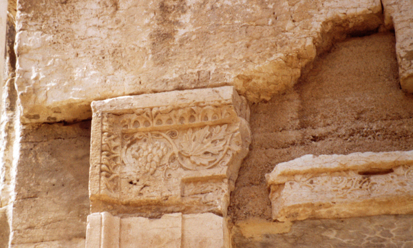 Palmiratbel portacelladecinterna 1993