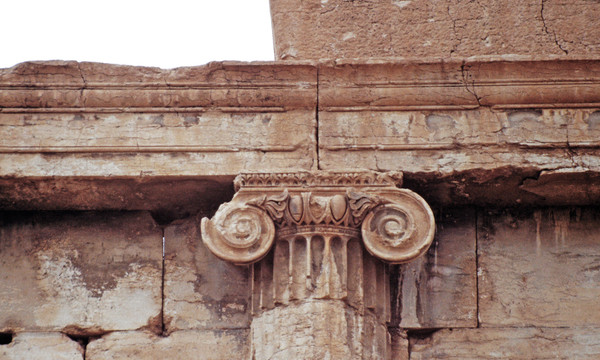 Palmiratbel tempiolatos capion trabcella 1993