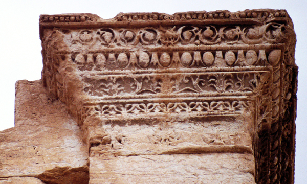 Palmiratbel tempiolatow coronantaangs 1993