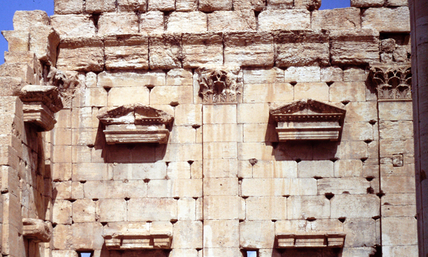 Palmiratbeltemenos latowangnmurofondo 1993