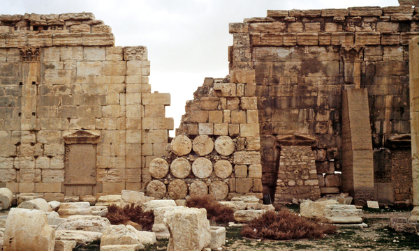 Palmiratbeltemenos latosmurofondo 1993