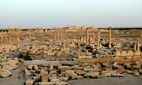 Palmyra 02