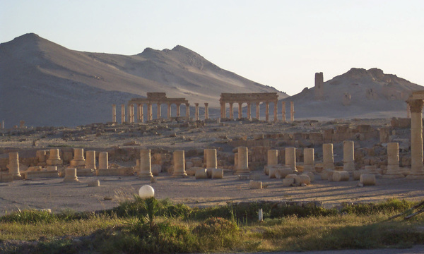 Bs palmyra 016