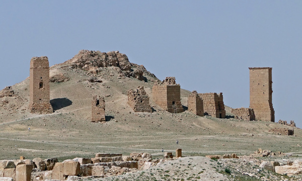 Tower tombs  palmyra