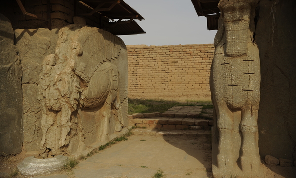 Nimrud 081119 f 5855m 087