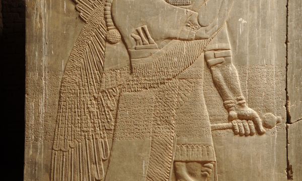 Nimrud 081119 f 5855m 129