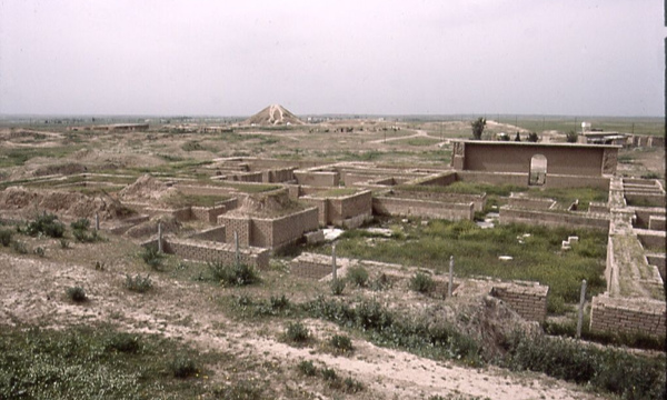 7240087642 7a1ca39282 b