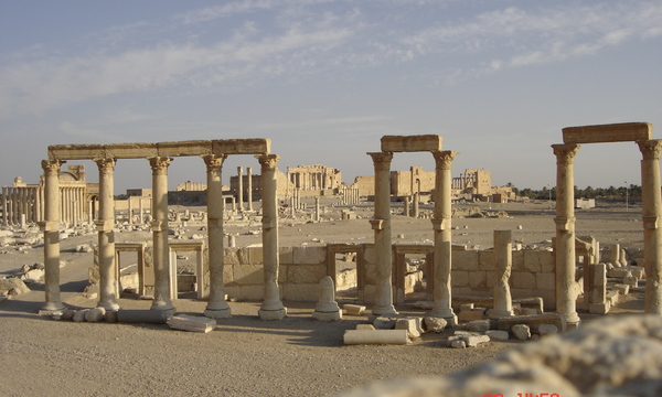 20051220 145847 syria palmyra colons surrounding theatre