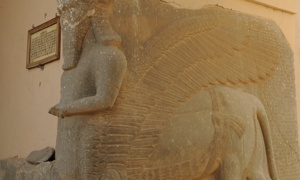 Nimrud 081119 f 5855m 059