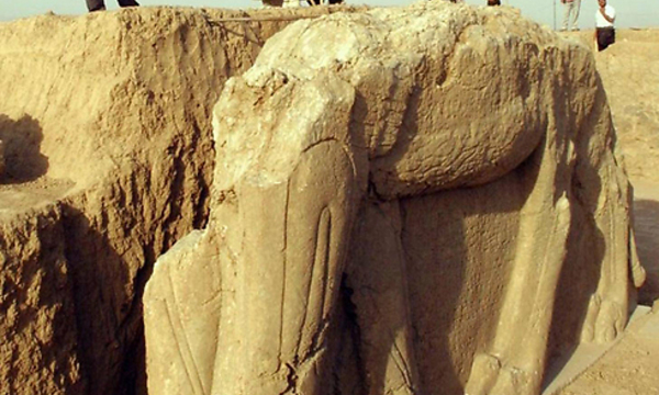 5919210099099490665no