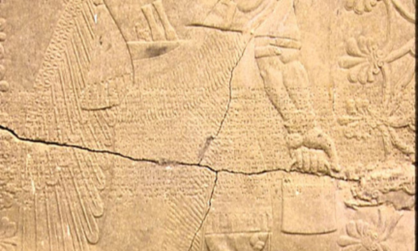 2693954808 16317ecbcf z