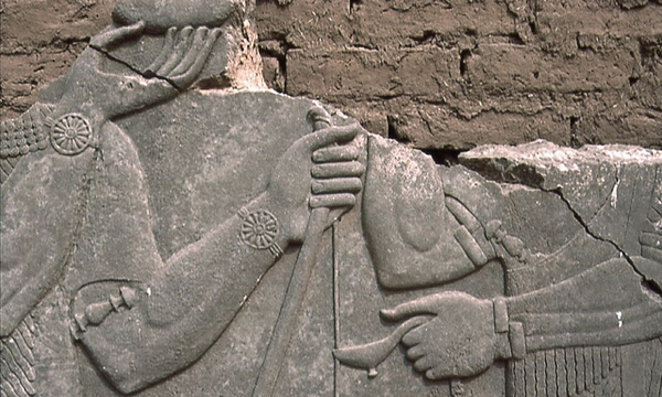 7224413746 56640b7b4e z