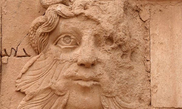 7323384226 9d9c544c9f b