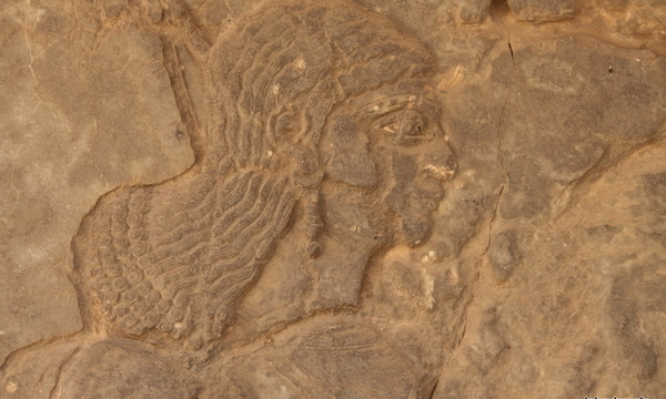 Nimrud palace 21 tt