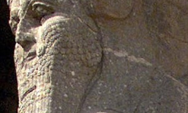 2660279800000578 2992391 image m 12 1426200084480