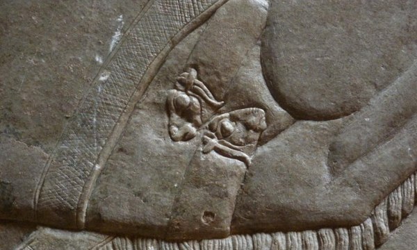 Iraq oct 2011 nimrud use%285%29