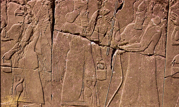 2693140511 5be6c92d9a z