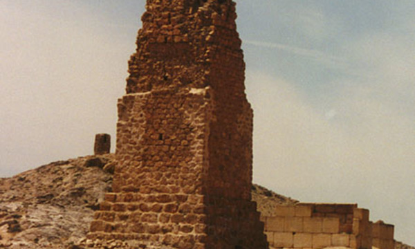Palmyra18