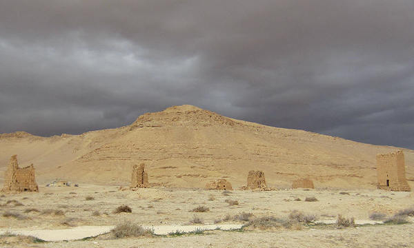 Palmyr06