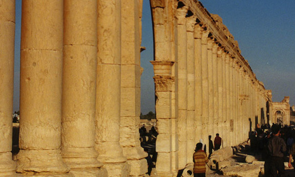 Palmyra06