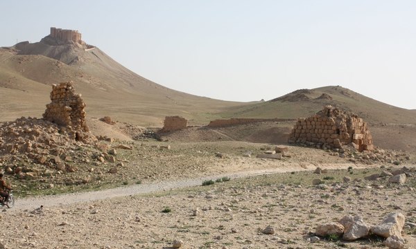 April 2010 palmyra  671