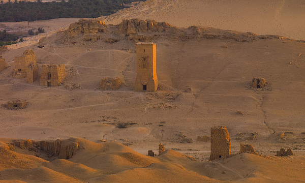 7318849808 40bf4cd9c7 z