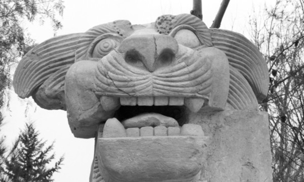 033 ria10 671134 5335