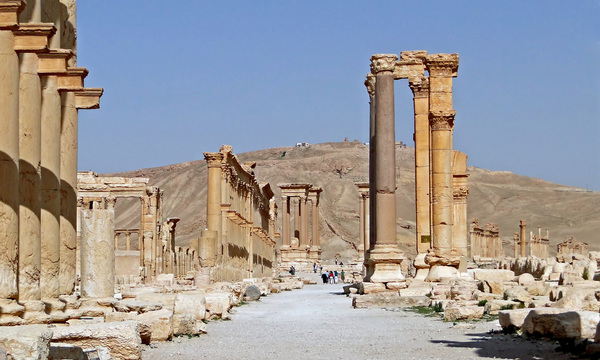 Palmyra   decumanus maximus