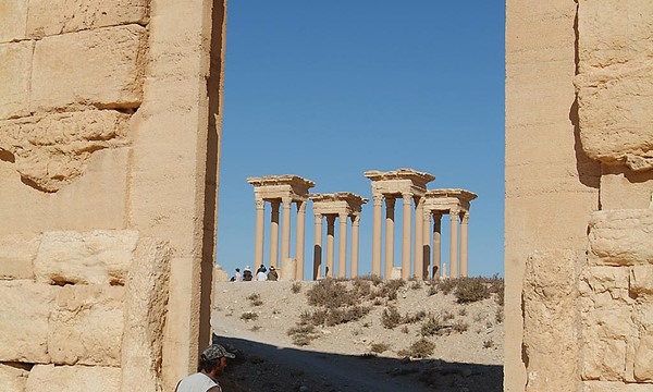 Vendor step palmyra  4