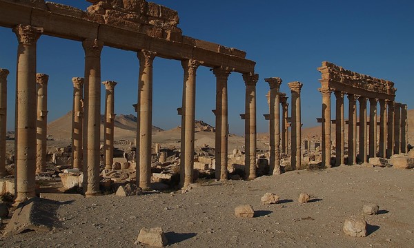 Palmyra morning 04 4