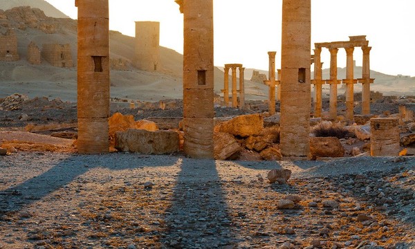 Palmyra syria 017 a