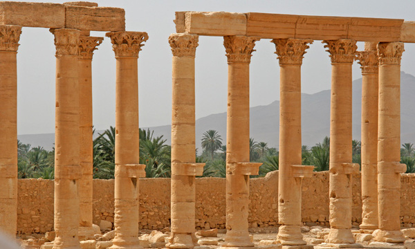 10 palmyra columns lined in front of palms