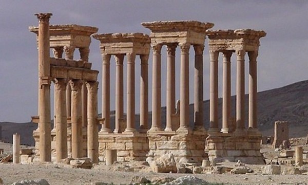 Palmyra palmyra syria 12976849510 tpfil02aw 6059