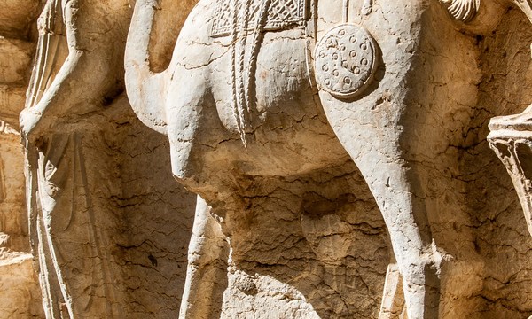 19699814042 8454bd525a o museum