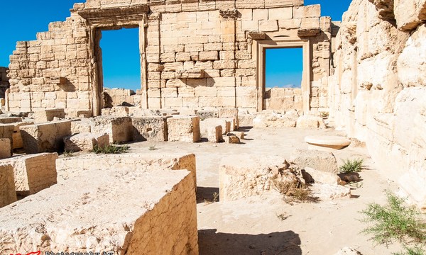 19846399608 45af593a03 o agora