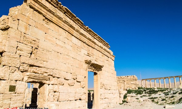 19847817519 a9a631e8ca o agora