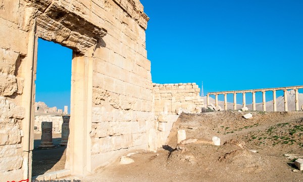 20026738722 9b62f978e4 o agora