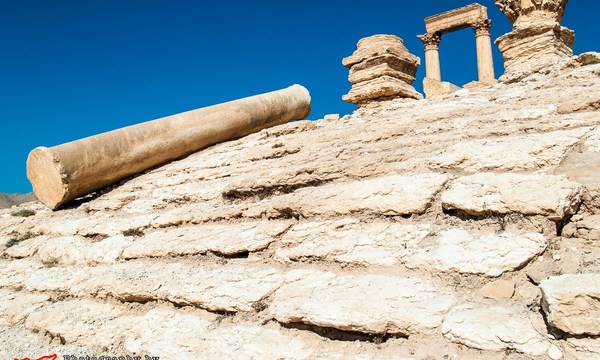 19678456510 9995b77804 o diocletian camp