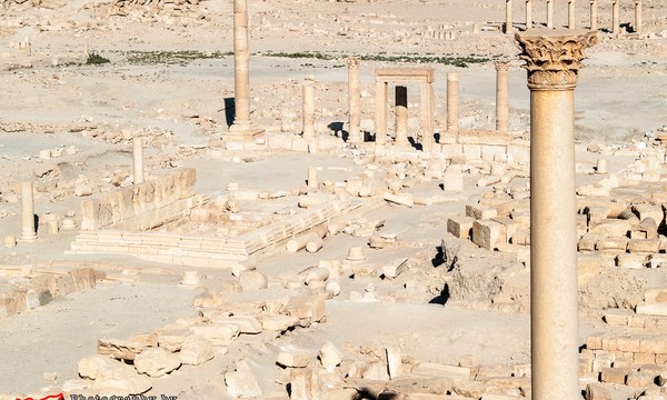19678502350 1e95748fc1 o diocletian camp