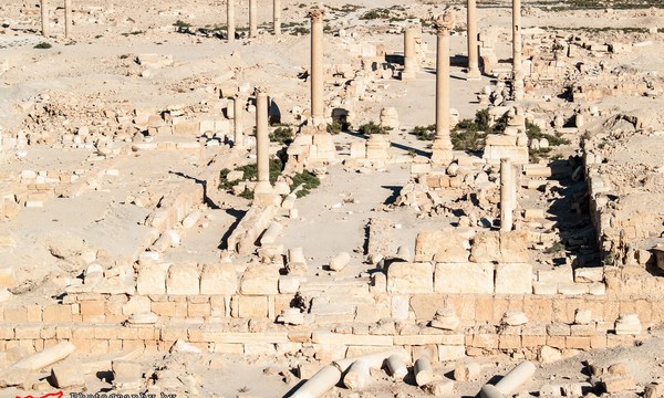 19679891639 5146395e24 o diocletian camp