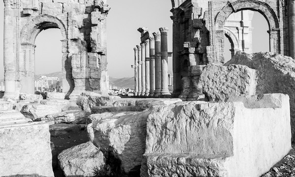 19622136904 5c15f965f2 o