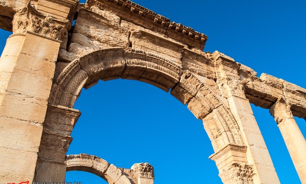 20672089096 1762926b26 o