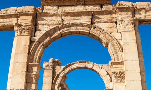 20705076731 40d07e2a8d o