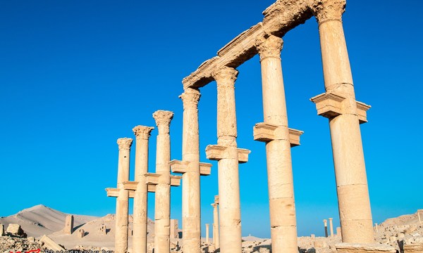 20671976966 d5e3d56664 o