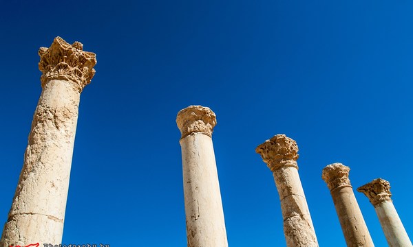 20672005576 2c9ec57707 o