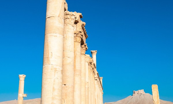 20672113466 6f23a48ae8 o