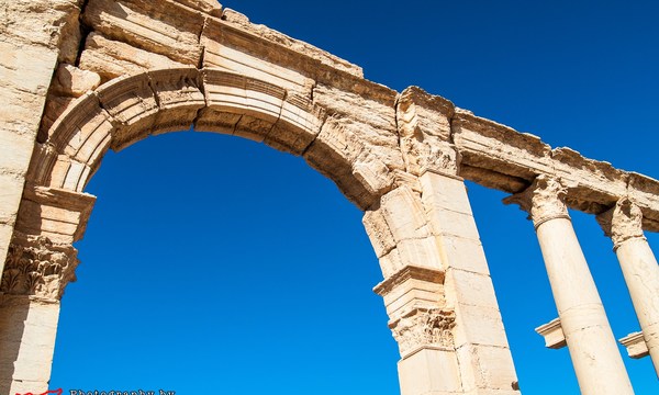 20510325648 b1ec86c6fc o