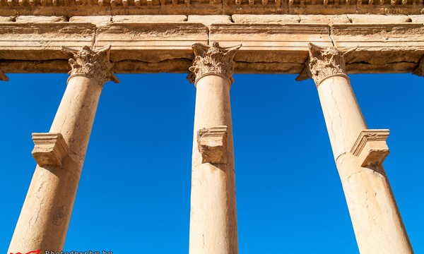 20510288588 8484ec7ca1 o