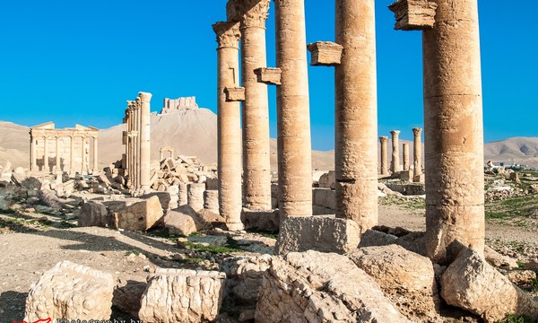 20510393368 152f8e5c6f o